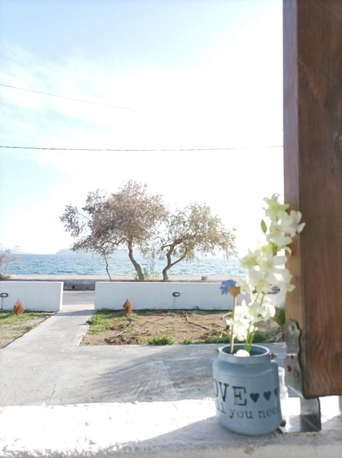 V&E'S Apartments Pigadhia  外观 照片